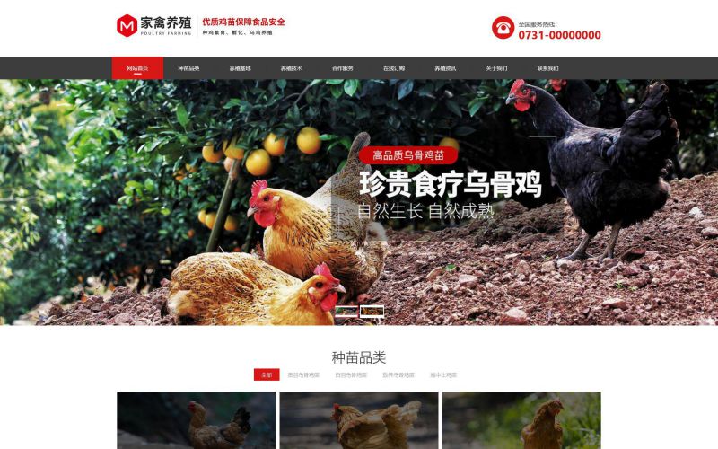 家禽养殖公司网站模板，家禽养殖公司网页模板，家禽养殖公司响应式网站模板